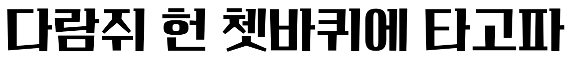 학교안심 여행 Regular: 다람쥐 헌 쳇바퀴에 타고파
